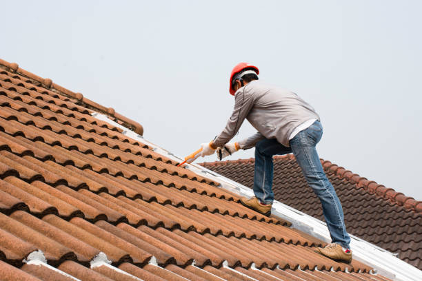 Louisville, NE Roofing services Company
