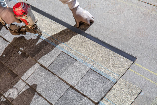 Fast & Reliable Emergency Roof Repairs in Louisville, NE